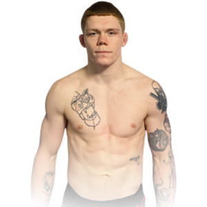 KNAUBER